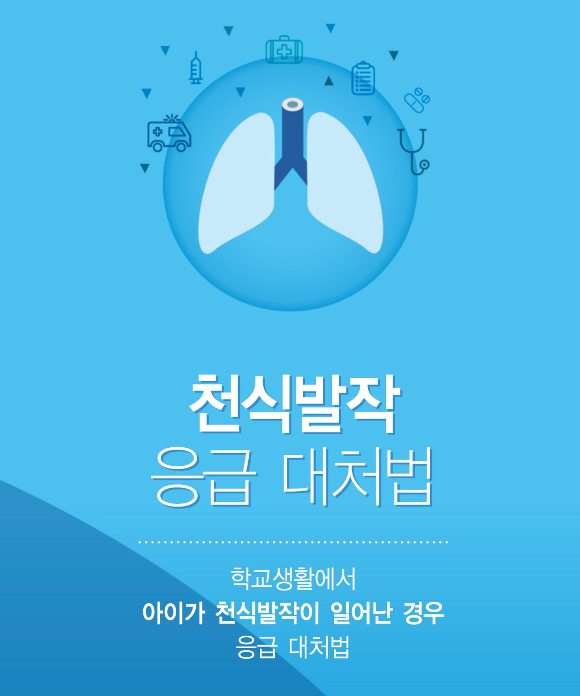 갤러리